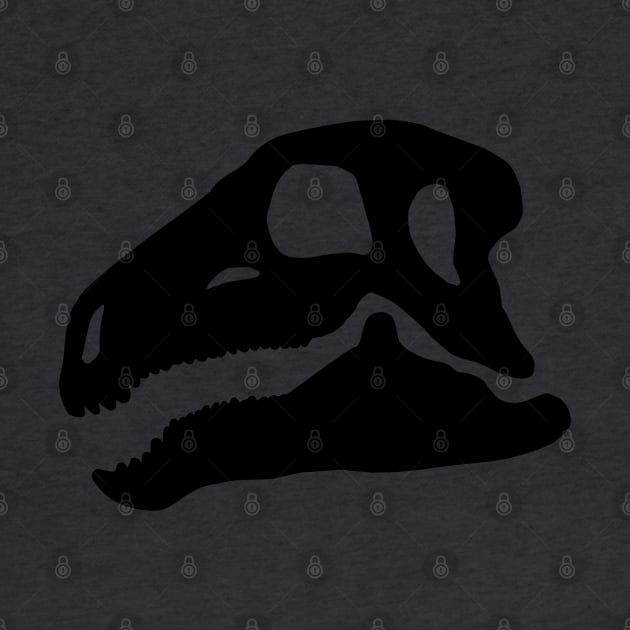 Huayangosaurus skull - black by SkeleCrewPaleo